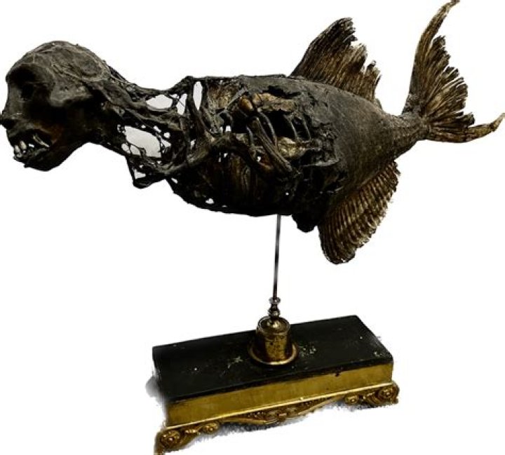 TheGod Joe Kush Wikipedia: Death Hoax Or Real?