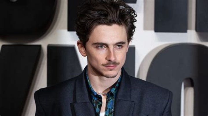 Timothée Chalamet Biography, Age, Education, Movies, Height, Girlfriend, Wife, Net Worth, Parents, Image, Awards And Instagram