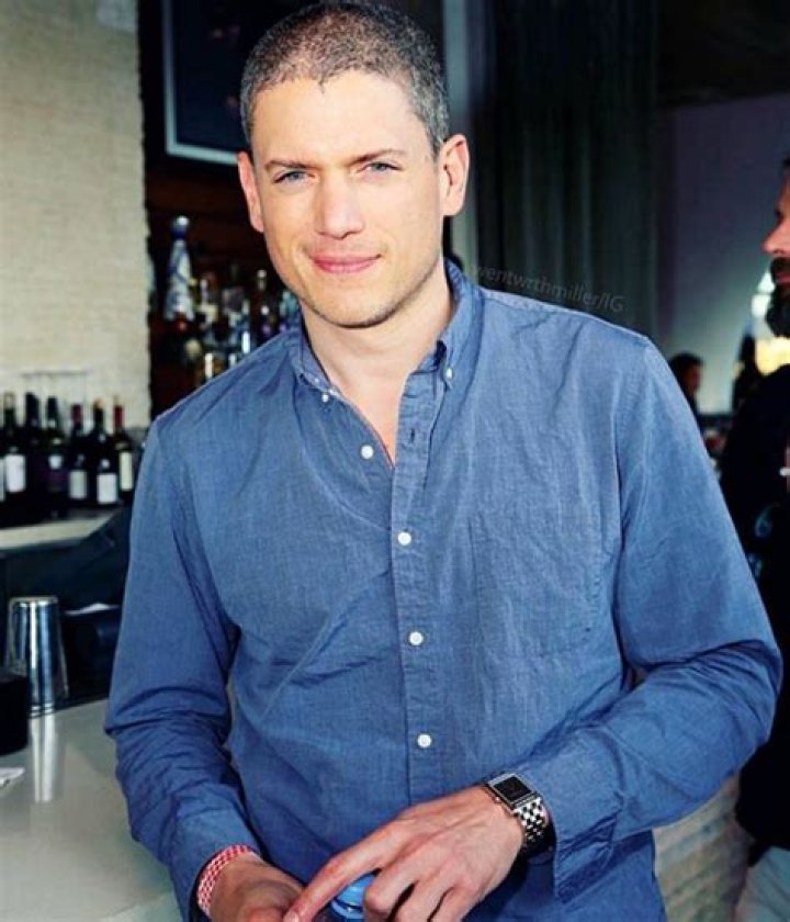Wentworth Miller Biography, Net Worth, Married, Wife, Partner, Nationality, Gender, Age, Facts, Wiki, Dating, Height, Family, Son, Relationship, Now