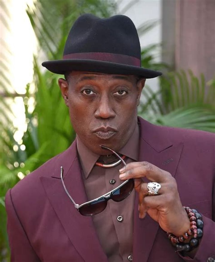 Wesley Snipes Net Worth: Why He Went To Prison After Blade Trilogy?
