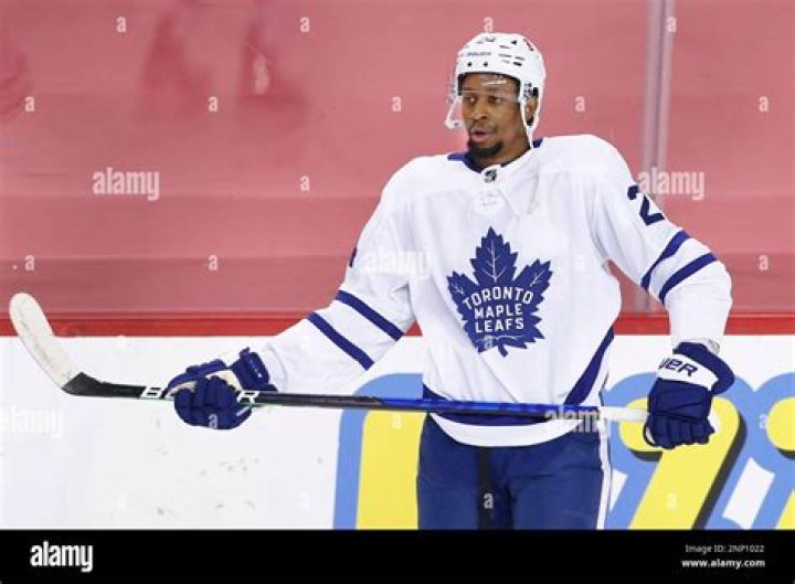 What Did Steve Simmons Say To Wayne Simmonds? NHL Media Reacts