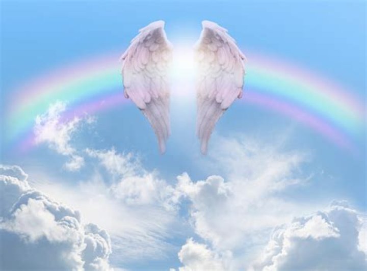 What do the angel wings mean in castaway