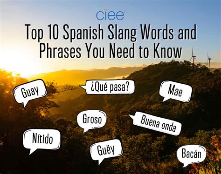 What does pajero mean in spanish slang