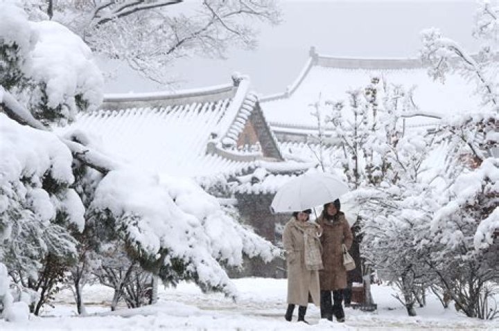 What does the first snow mean in korean
