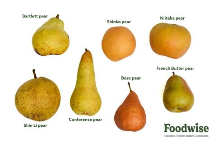 What fruit category is a pear