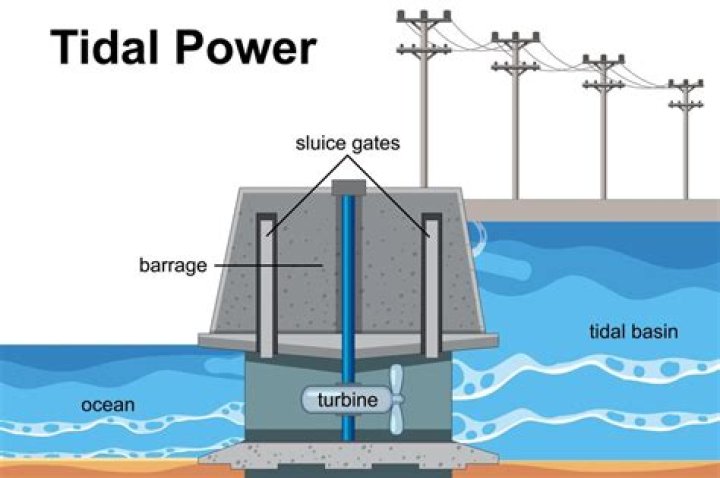 What is a disadvantage of tidal power