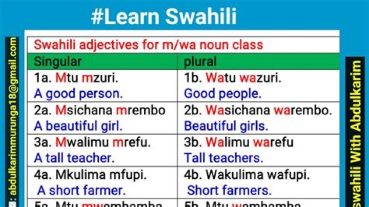 What is cheetah in swahili