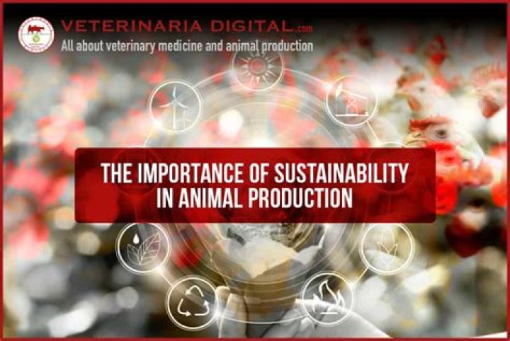 What is dipping in animal production