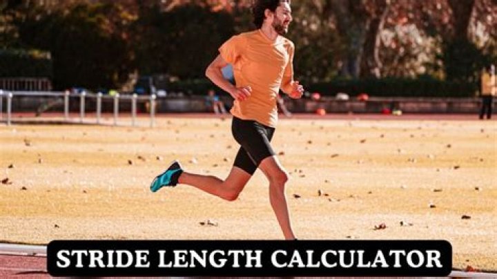 What is the average stride length for a 5 10 man