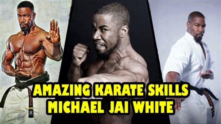 What type of fighter is Michael Jai White? How good is Michael Jai White martial arts?