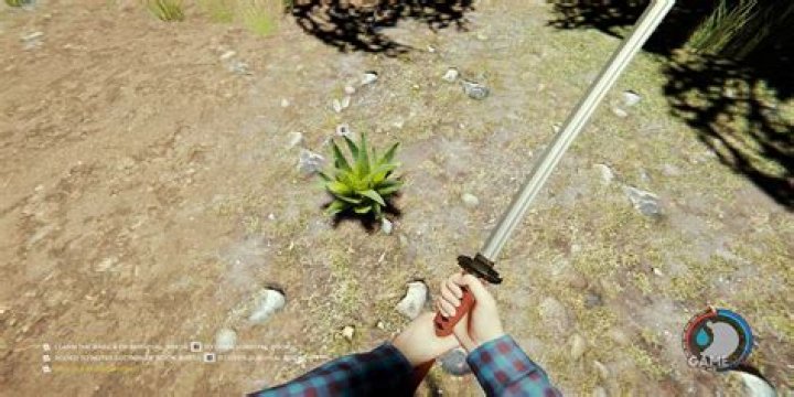 Where to find aloe in the forest