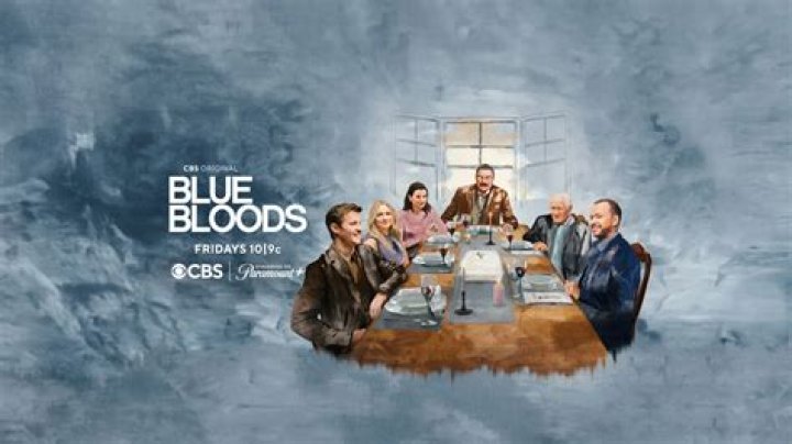 Who Is Actor Will Hochman? Blue Bloods Cast Wikipedia Bio And Family Details