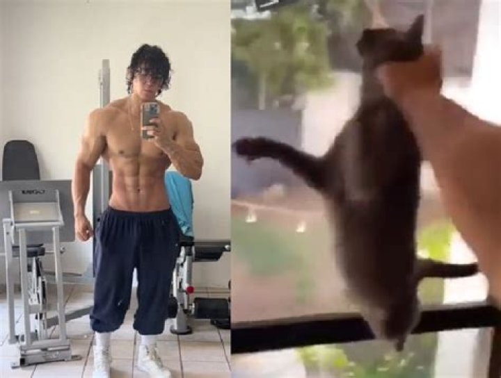 Who Is Daddy Aioli Gato? Fitness Enthusiast’s Video On Animal Cruelty Trending On Twitter & TikTok