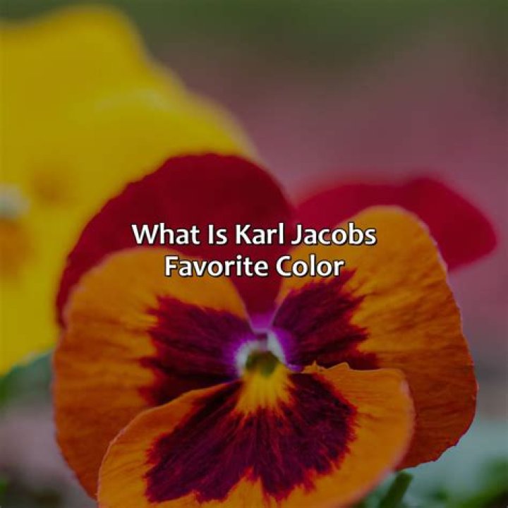 Who Is Karl Jacobs Dating? Does He Have A Kid? All Facts