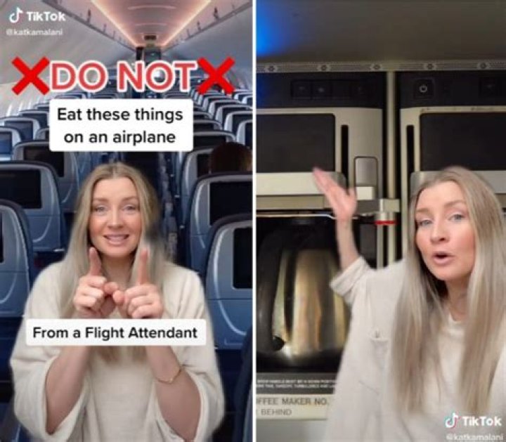 Who Is Kat Kamalani From TikTok? 10 Facts On The Flight Attendant