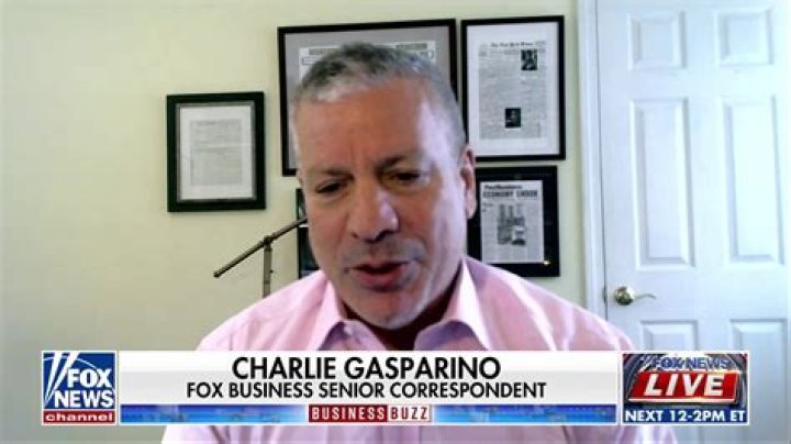 Who Is Virginia Juliano? Biography Of Charlie Gasparino’s Wife