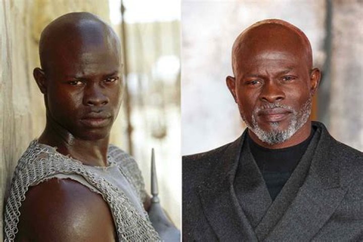 Who was the black actor in Gladiator? What part of Africa is Djimon Hounsou from?
