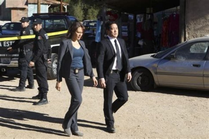 Why Did Emily Swallow Leave The Mentalist?