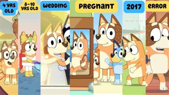 Why Fans Think Kelly Evans Is Pregnant Again! Confusion Explained