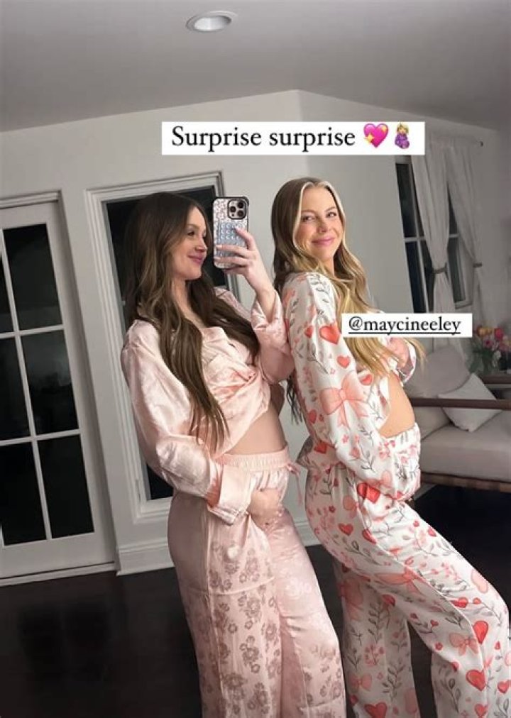 YouTuber Les Do Makeup aka Leslie Quezada Is Pregnant With Another Baby!